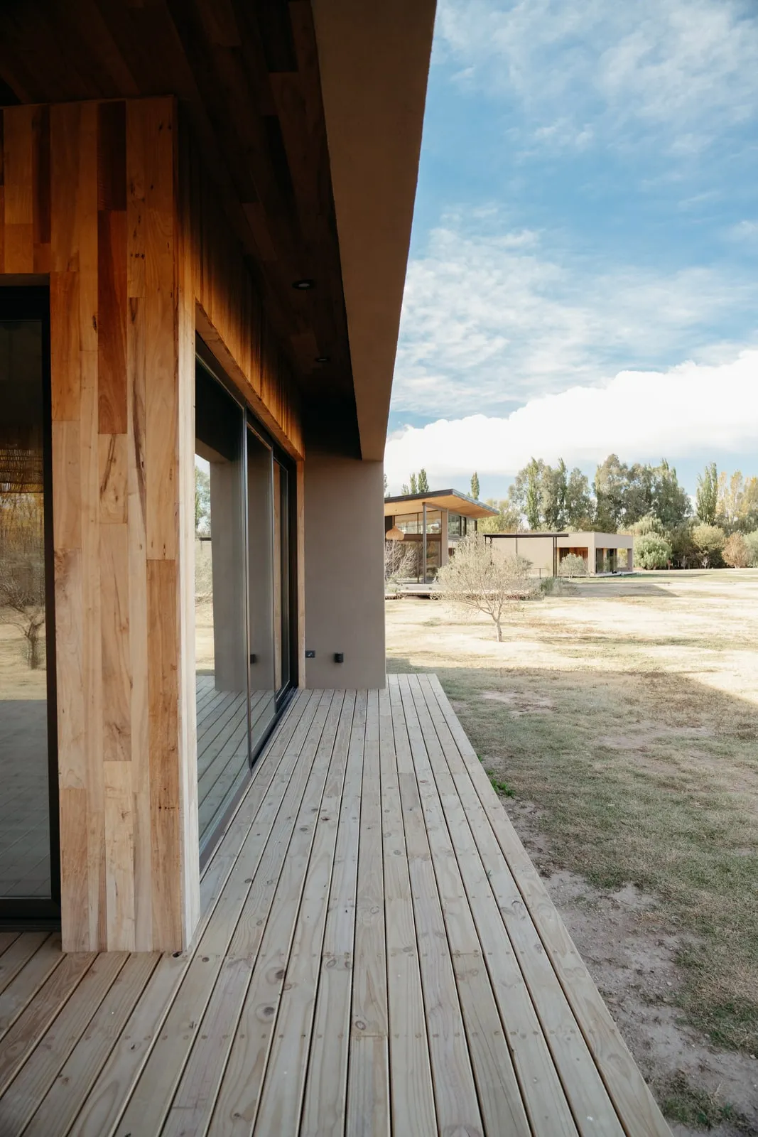 Veta de lapacho